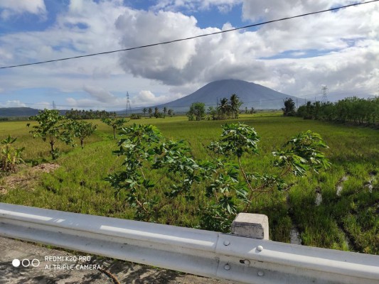 Real estate agricultural land