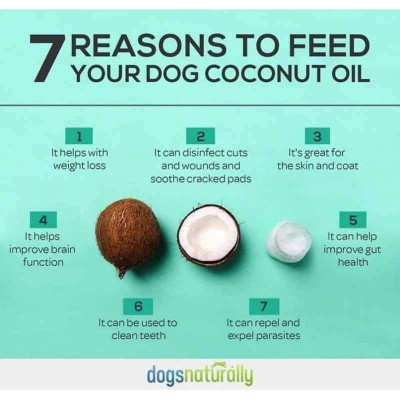 Virgin Coconut Oil for Pets