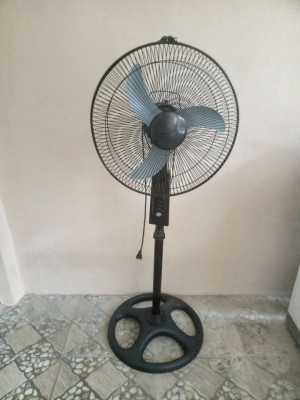Stand Fan (Dowell)