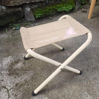 Folding Outdoor/Camping Chair