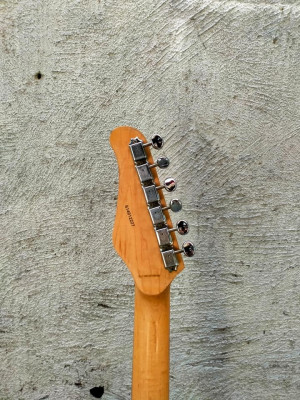 FS/FT: jay turser thinline custom