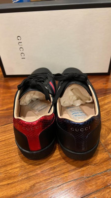 Gucci ace sneaker