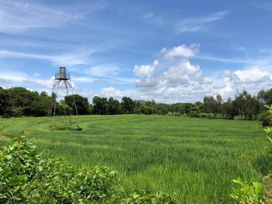 Lot - Infanta, Pangasinan