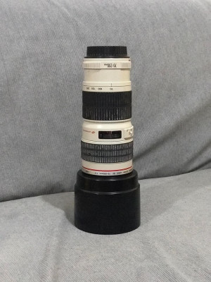 Canon 70-200 4L Non IS