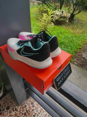 PRECISION 6 "SOUTH BEACH"