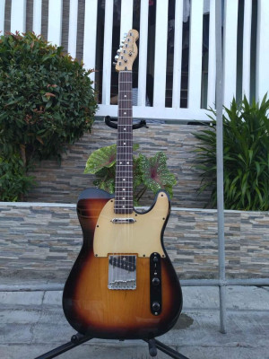 Fender Telecaster Std