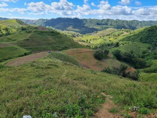 Lot for sale in Minglanilla Cebu Nice for Farm lot