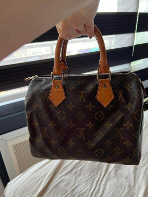 LV Mini Speedy (Brown)