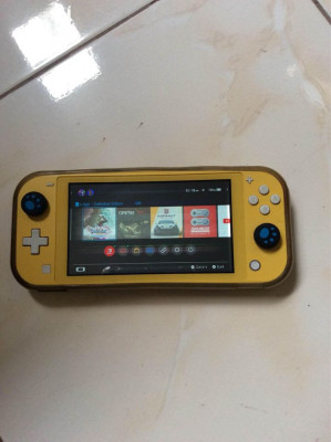 Nintendo switch lite and pouch case