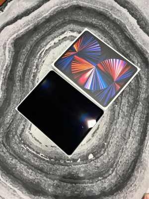 iPad Pro Wi-Fi + Cellular (256GB)