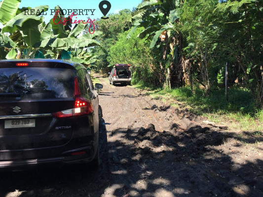 FARMLOT FOR SALE AT MACO DAVAO DE ORO