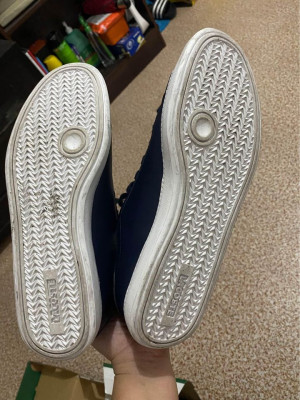 Authentic Lacoste Sneakers