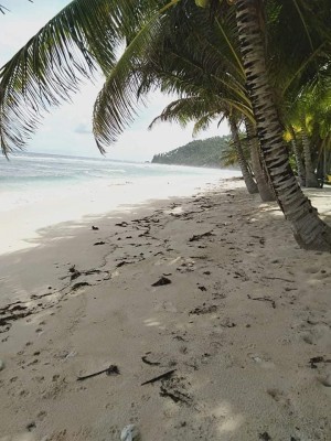 WHITE SAND BEACH MATI