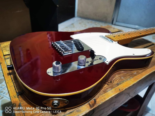 Fs/Ft Bacchus Japan Telecaster