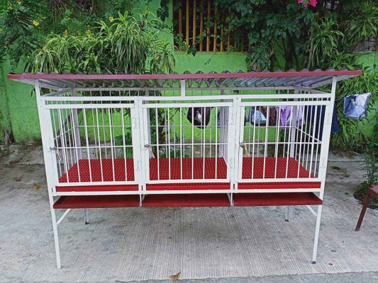 Dog cage made to order