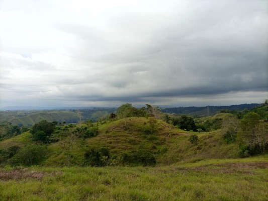 PAUTANG NA LOT SAN SIMON PAGATPAT CAGAYAN DE ORO