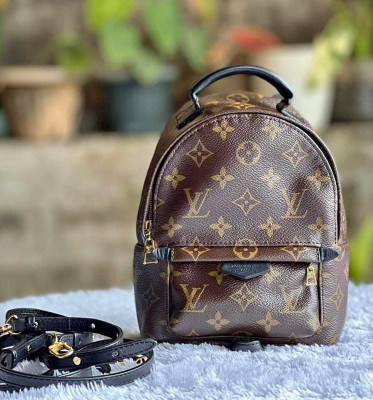 Louis Vuitton Mini Palmspring