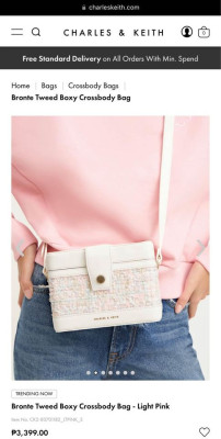 Bronte Tweed Boxy Crossbody Bag Charles and Keith Orig