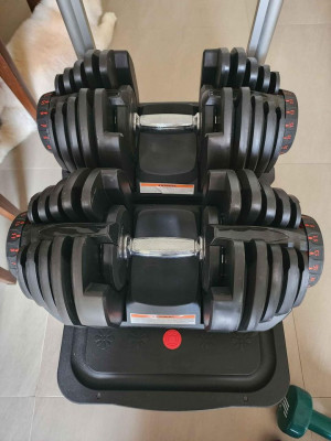 40- Kilo Adjustable Dumbbells