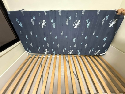 Pull-out Bed Frame with Storage