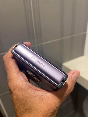 Z Flip 3 256