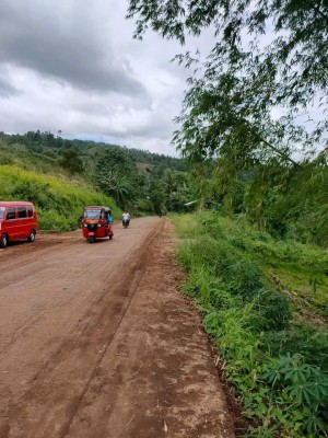 POLOYAGAN NEW SUBDIVIDED LAND FOR INSTALLMENT