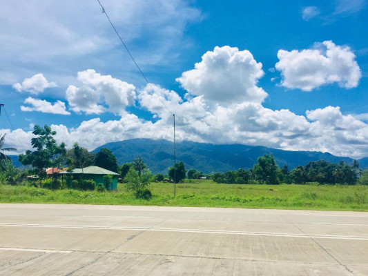 House and farm lot for sale