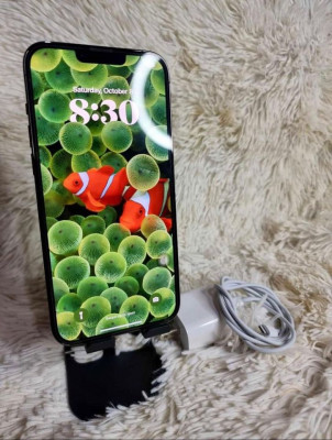 📍 IPHONE 13 PRO MAX 📍