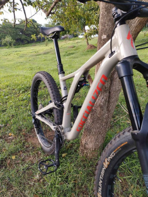 FS: 2020 Specialized Stumpjumper