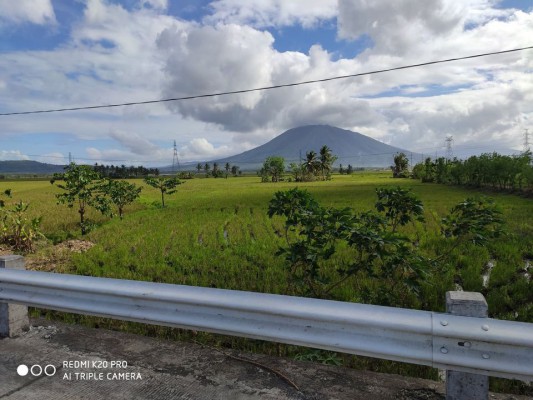 Real estate agricultural land