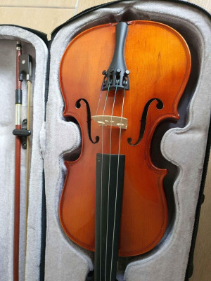 Violin