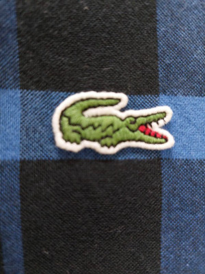 LACOSTE LONG SLEEVES