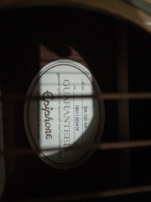 Epiphone DR100 Acoustic Guitar