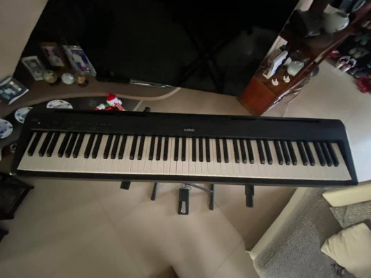 KAWAI ES-110