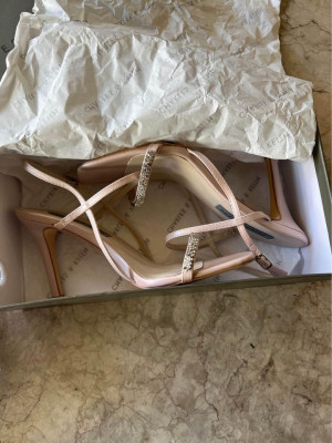 Charles and Keith Nude Heels