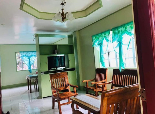 House and lot For Sale! (Along Brgy road near Vigan City town proper)