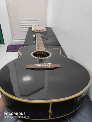 Fernando acoustic guitar