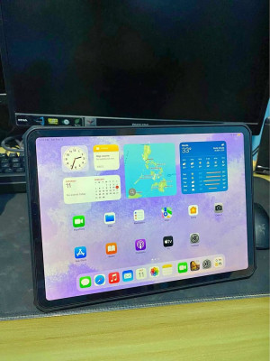 iPad Pro 11 inch WIFI 64gb