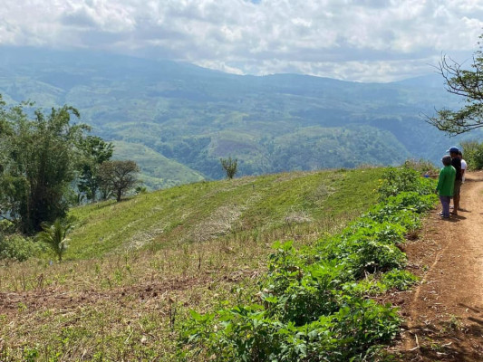 FARM W/ BREATHTAKING VIEWS AT MADAGUING CLAVERIA FOR SALE