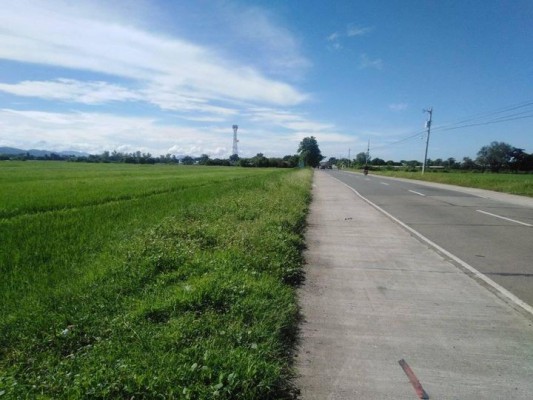 Lot - Santa Rosa, Nueva Ecija