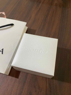 Pandora Bracelet with Charm