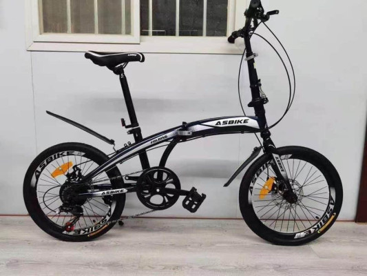 Folding Bike