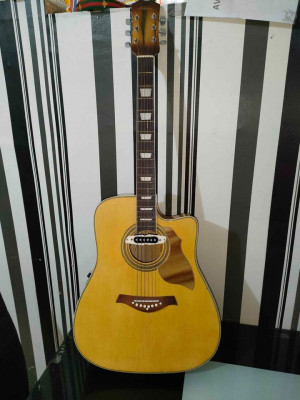 Acoustic Guitar with Pick up.