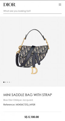 Dior Saddle Bag