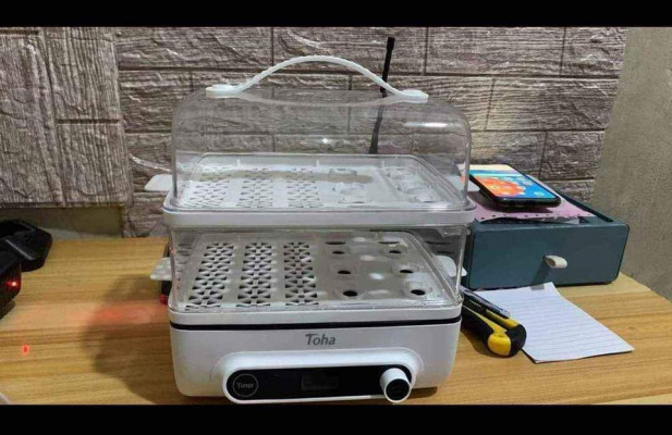 Double layer Electric steamer