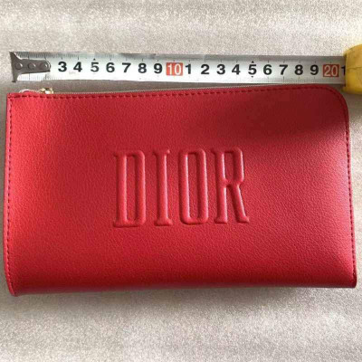 Dior pouch