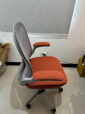 Ergonomic Chair