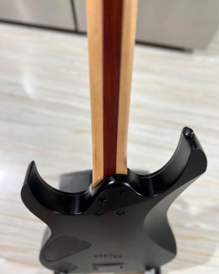 Ibanez Iron Label RGIR30BFE - Black Flat (EMG)