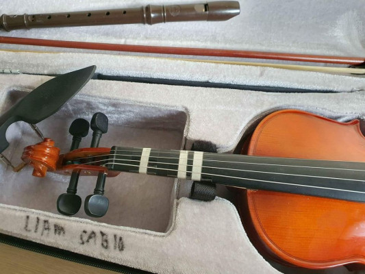 Violin