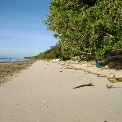 Beach lot Beach front white sand beach for sale good for resort development